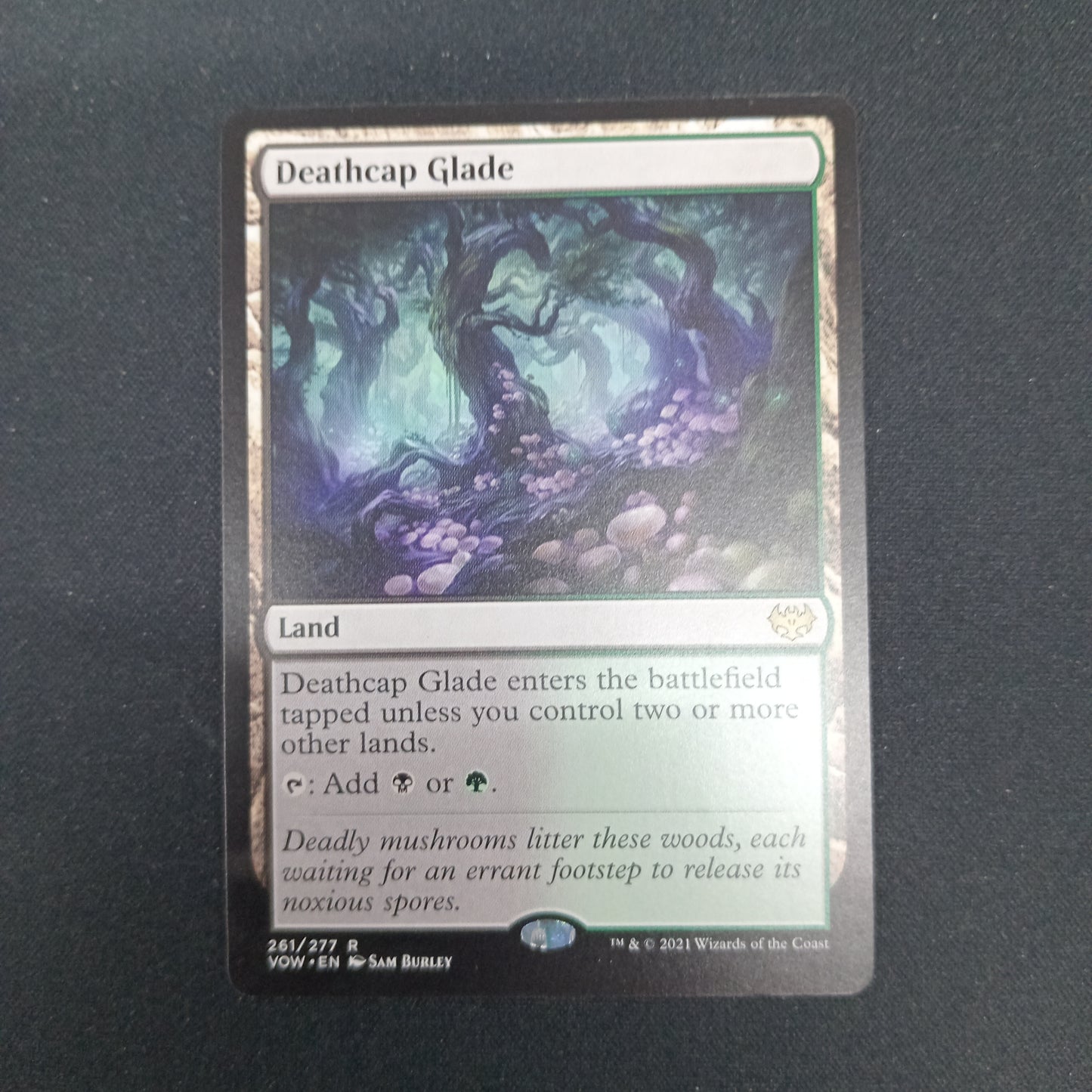 Deathcap Glade (VOW)