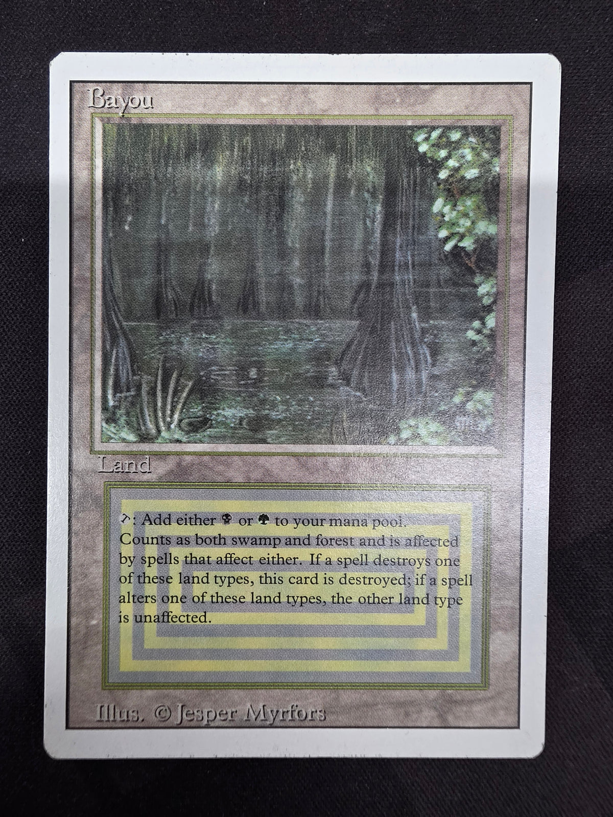 Bayou - Revised