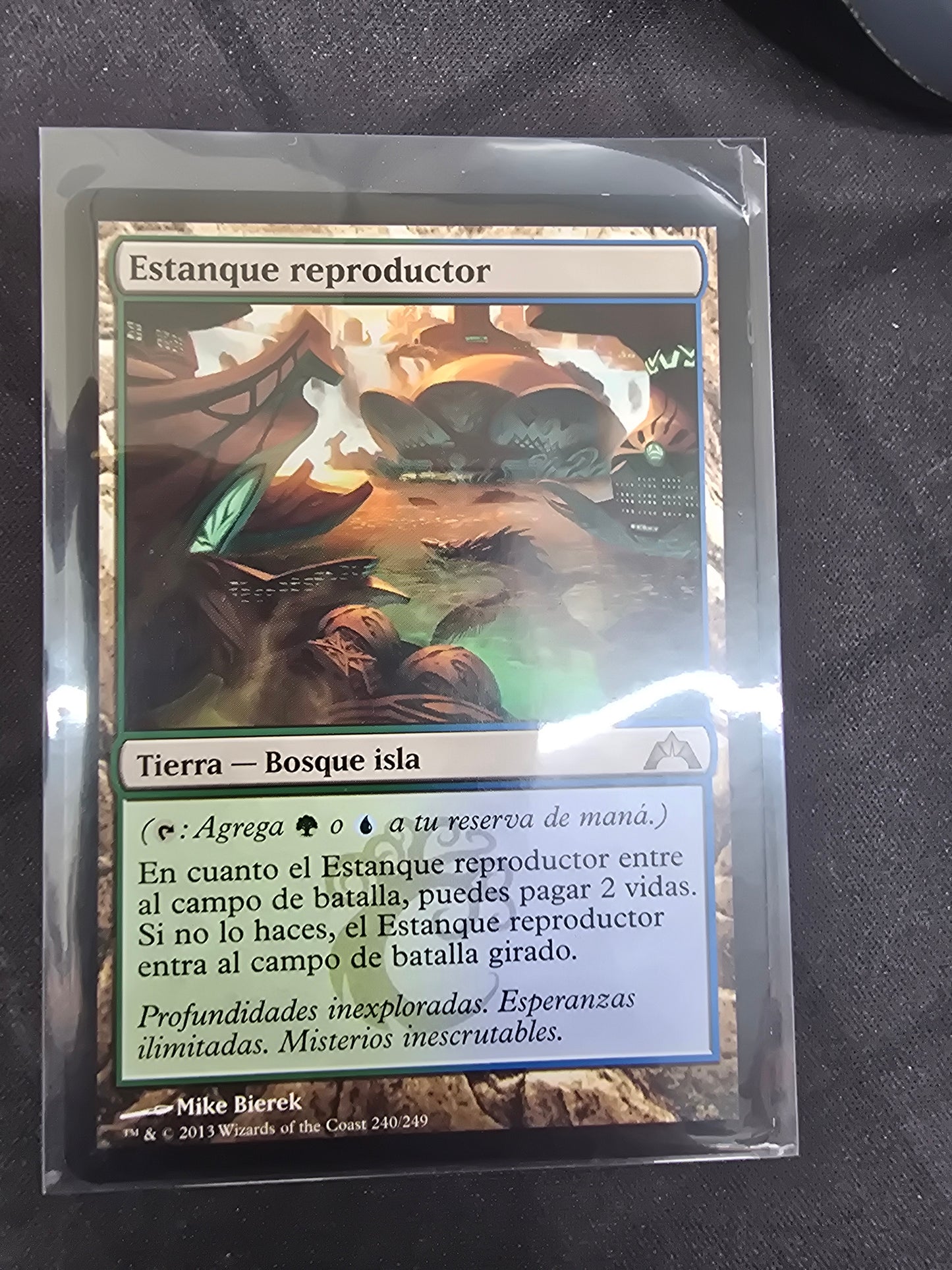 Breeding Pool (GTC) (Italian)