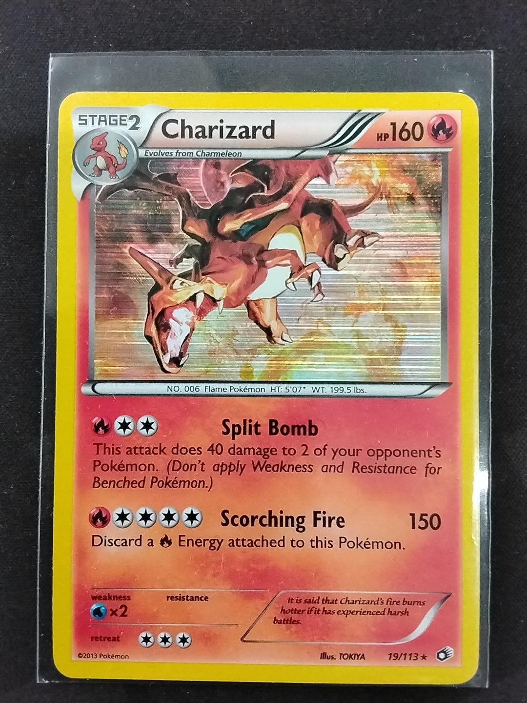 Charizard (19/113)