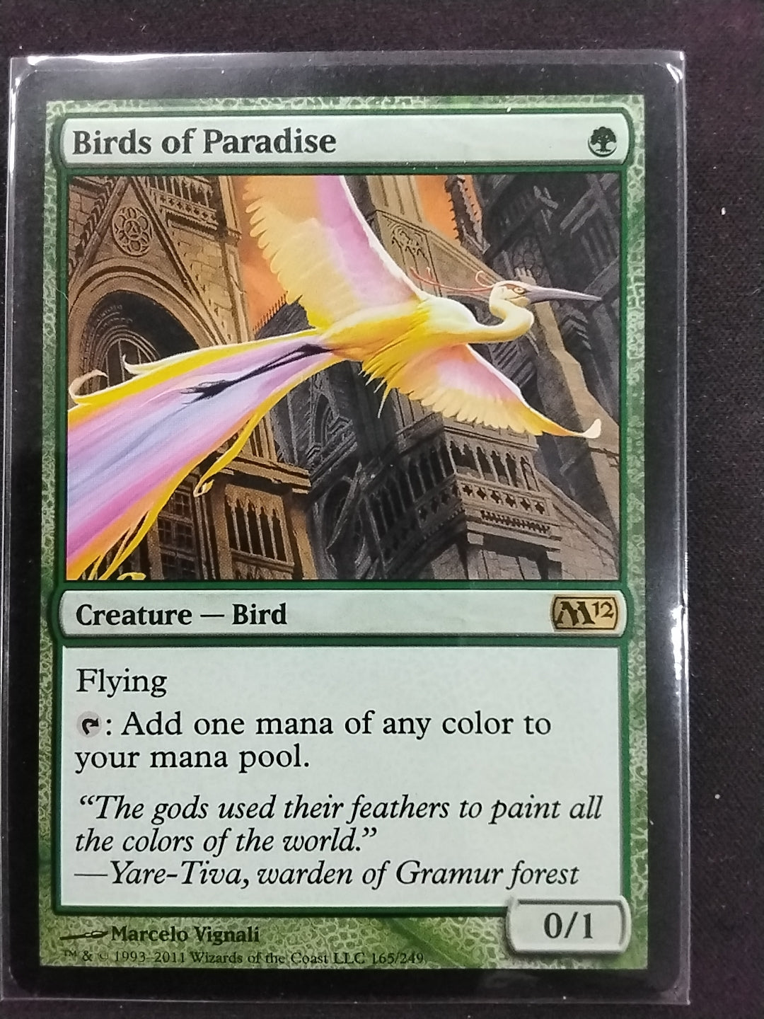 Birds of Paradise (M12)