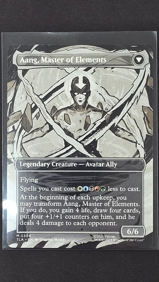 Avatar Aang (TLA, Boarderless)