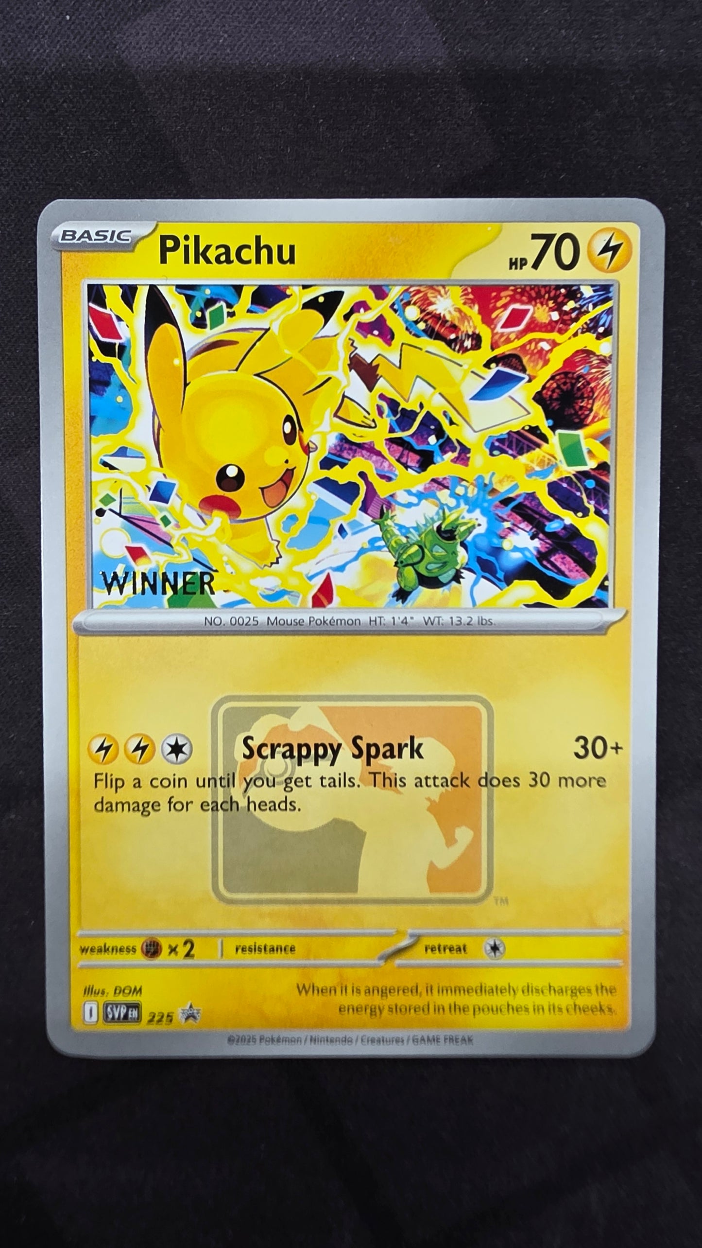 Pikachu (225 Promo)