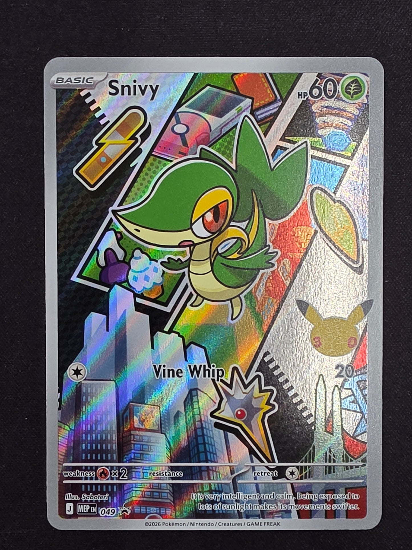 Snivy (049)