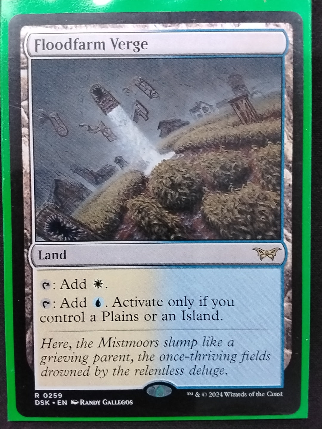 Floodfarm Verge (DSK)
