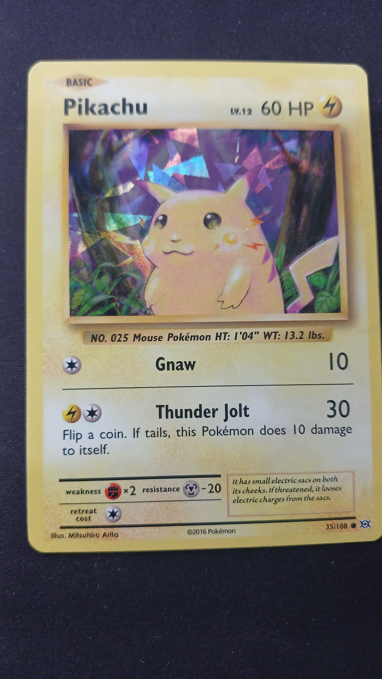 Pikachu lv12