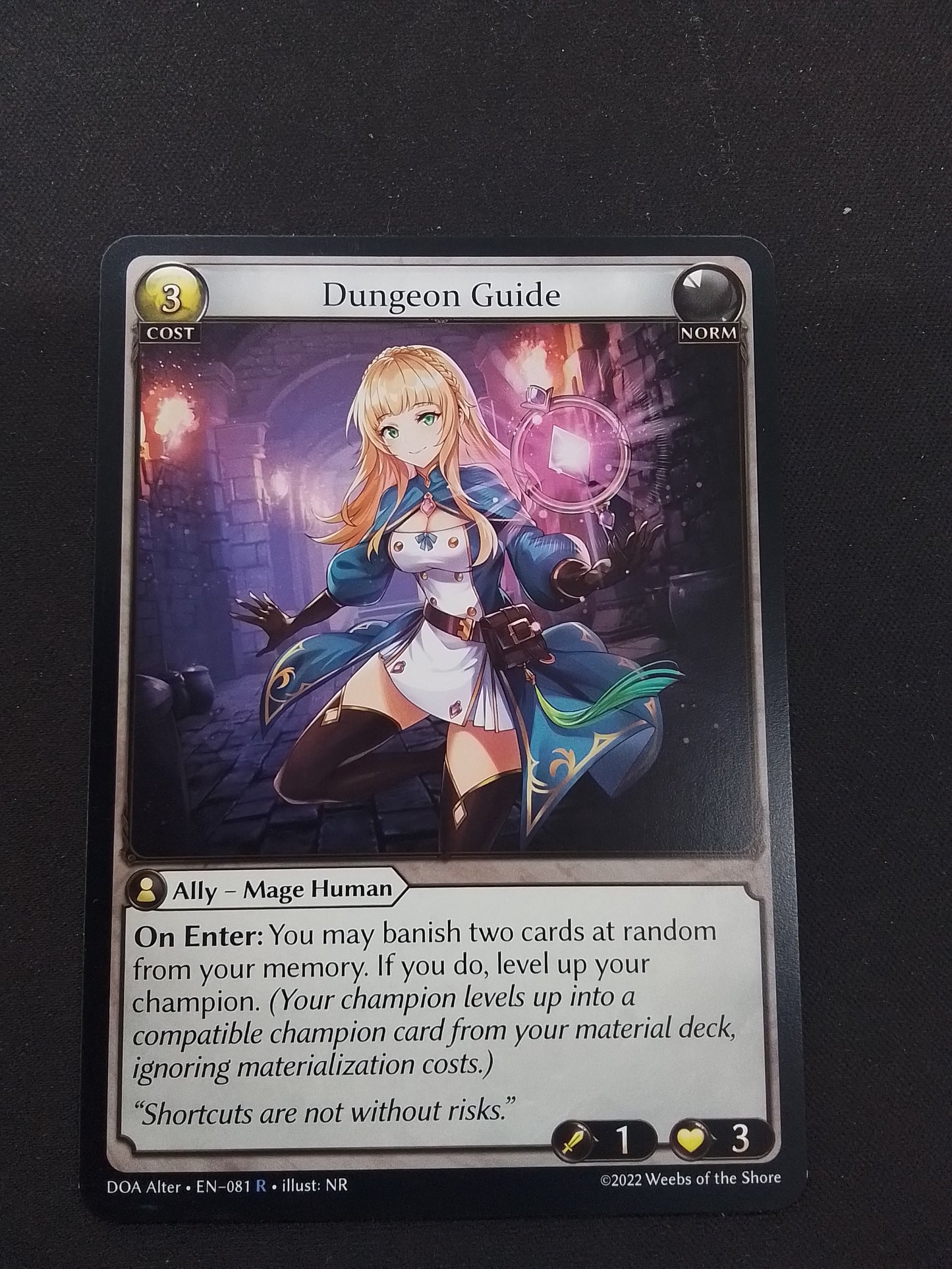 Dungeon Guide (DOA ALTER R)