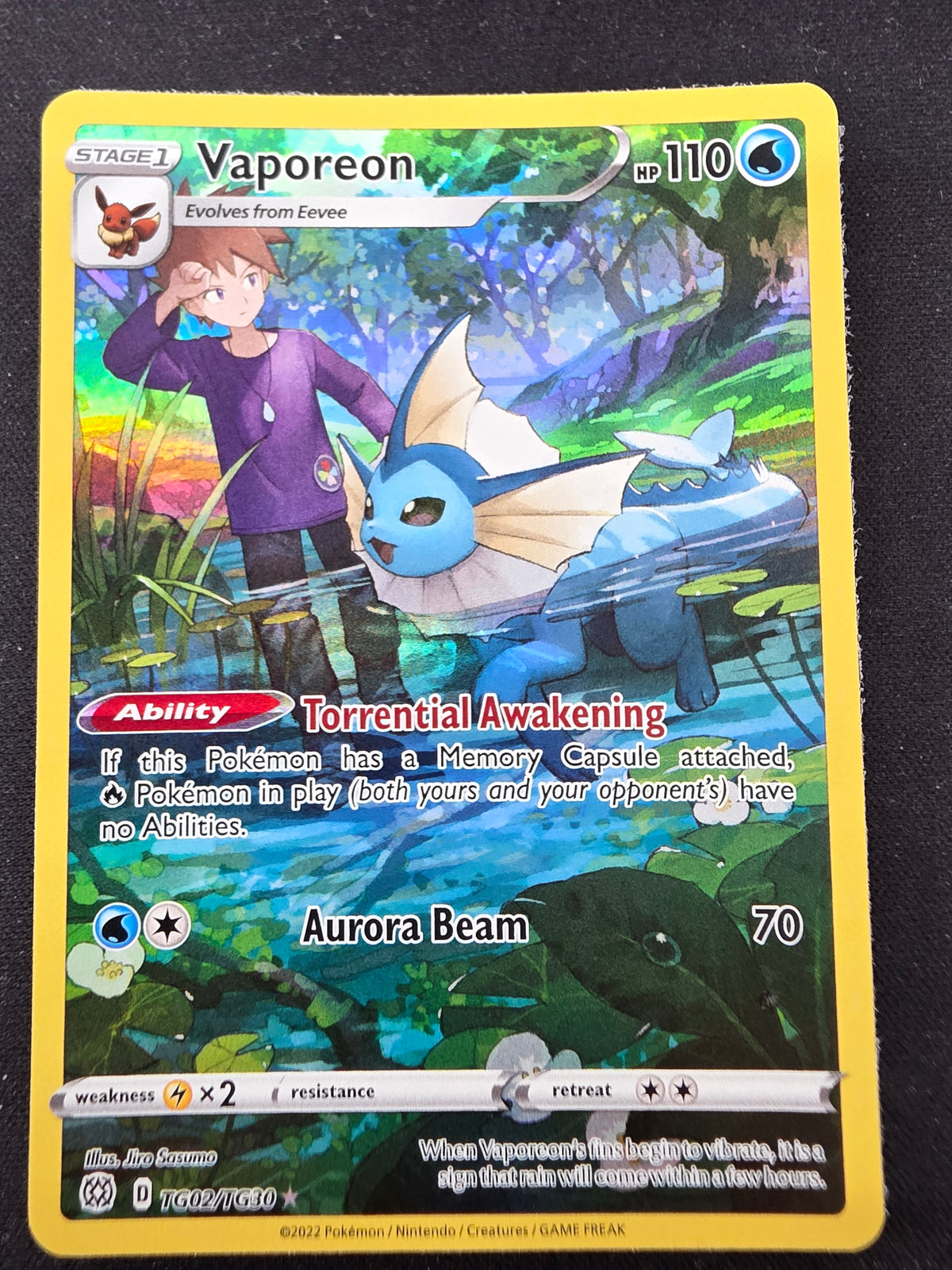 Vaporeon (tg02/tg30)