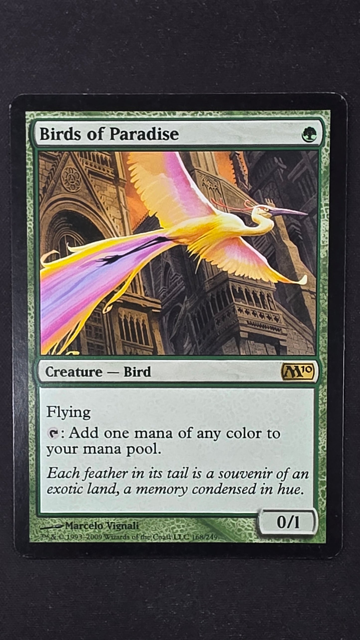 Birds of Paradise (M10)