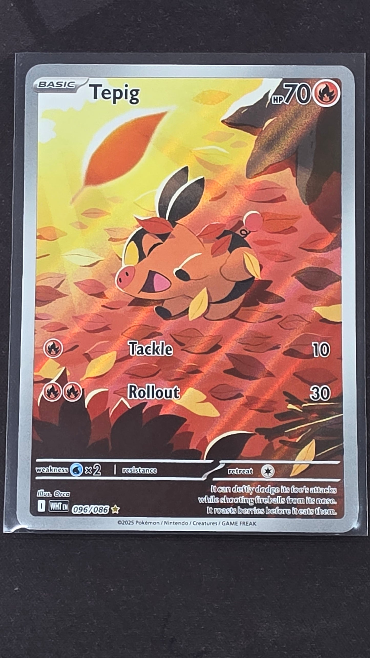 Tepig (096/086)