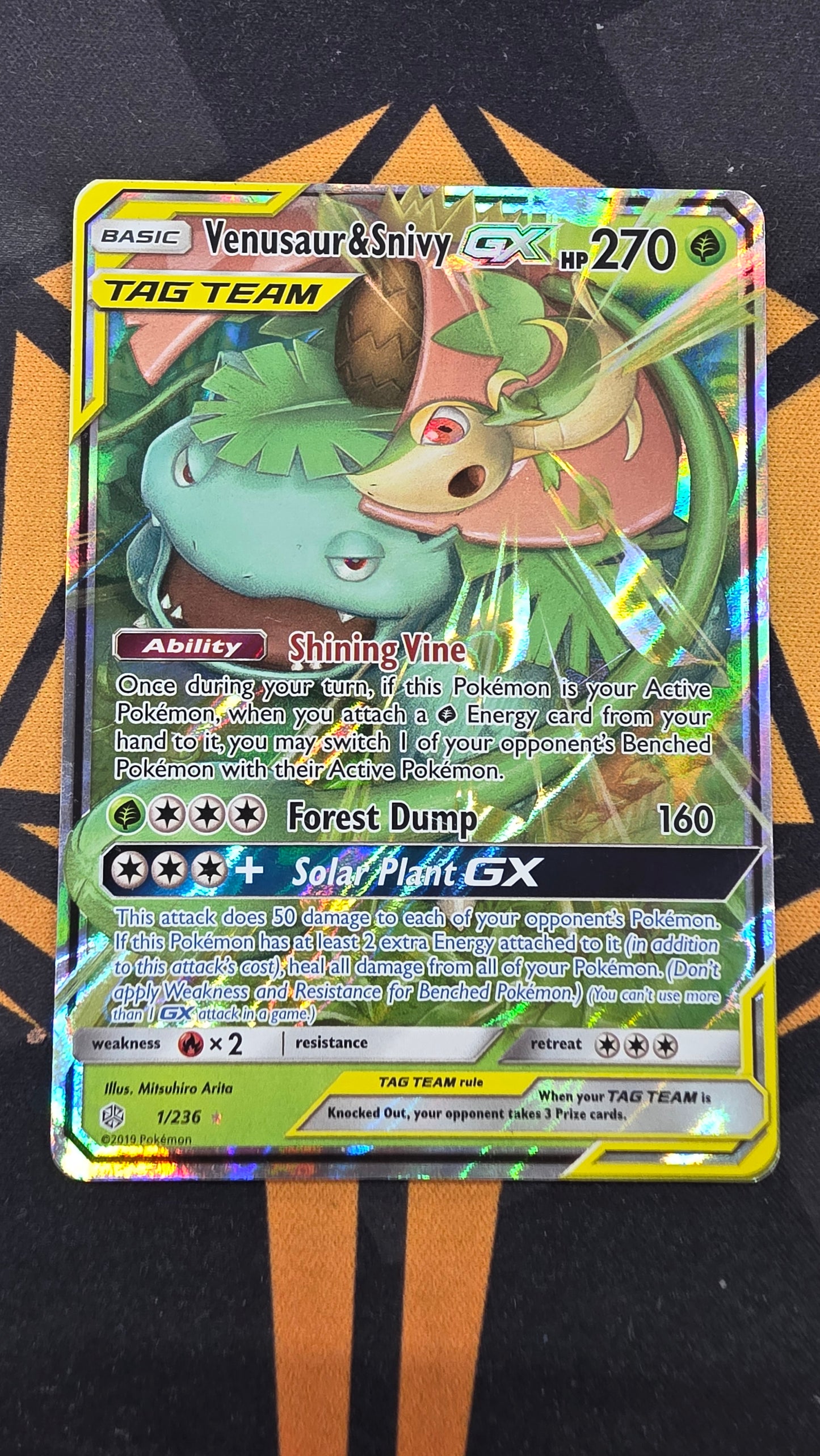 Venusaur & Snivy GX (1/236)