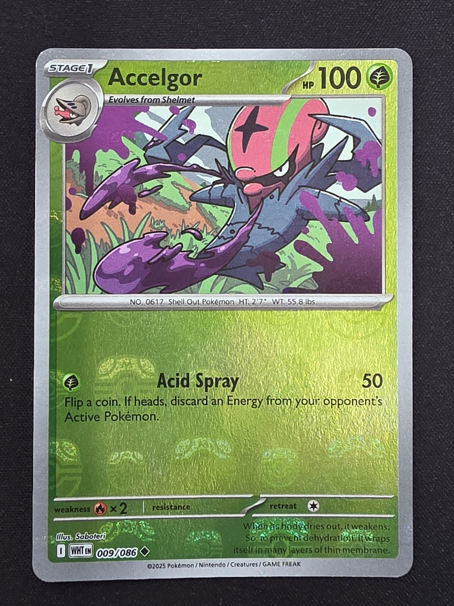 Accelgor (009/086, Master Ball Pattern)