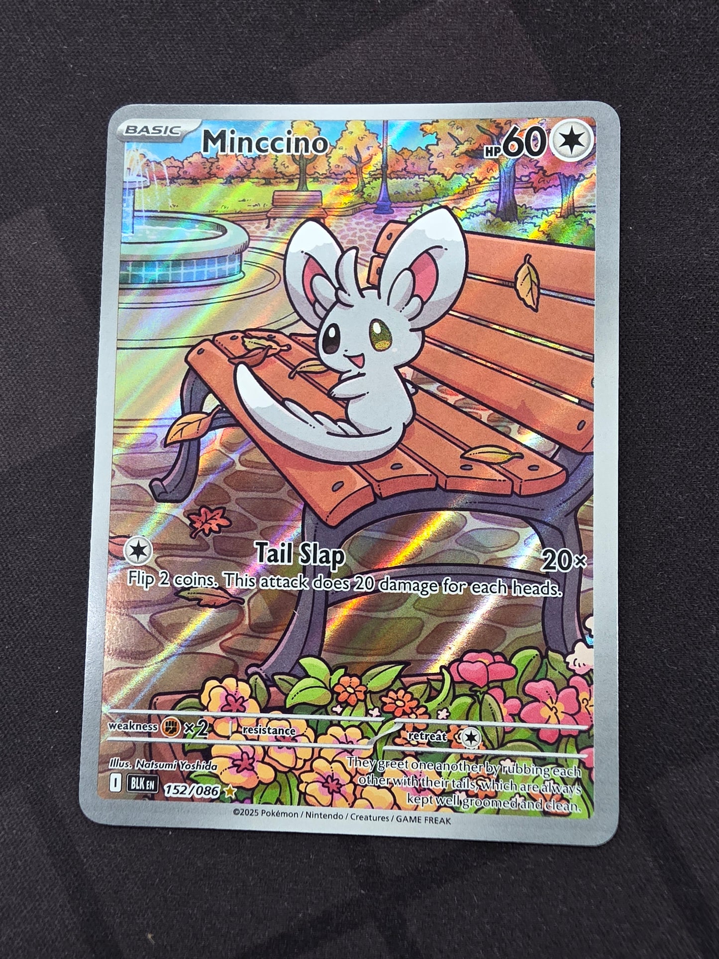 Minccino (foil, 152/086)