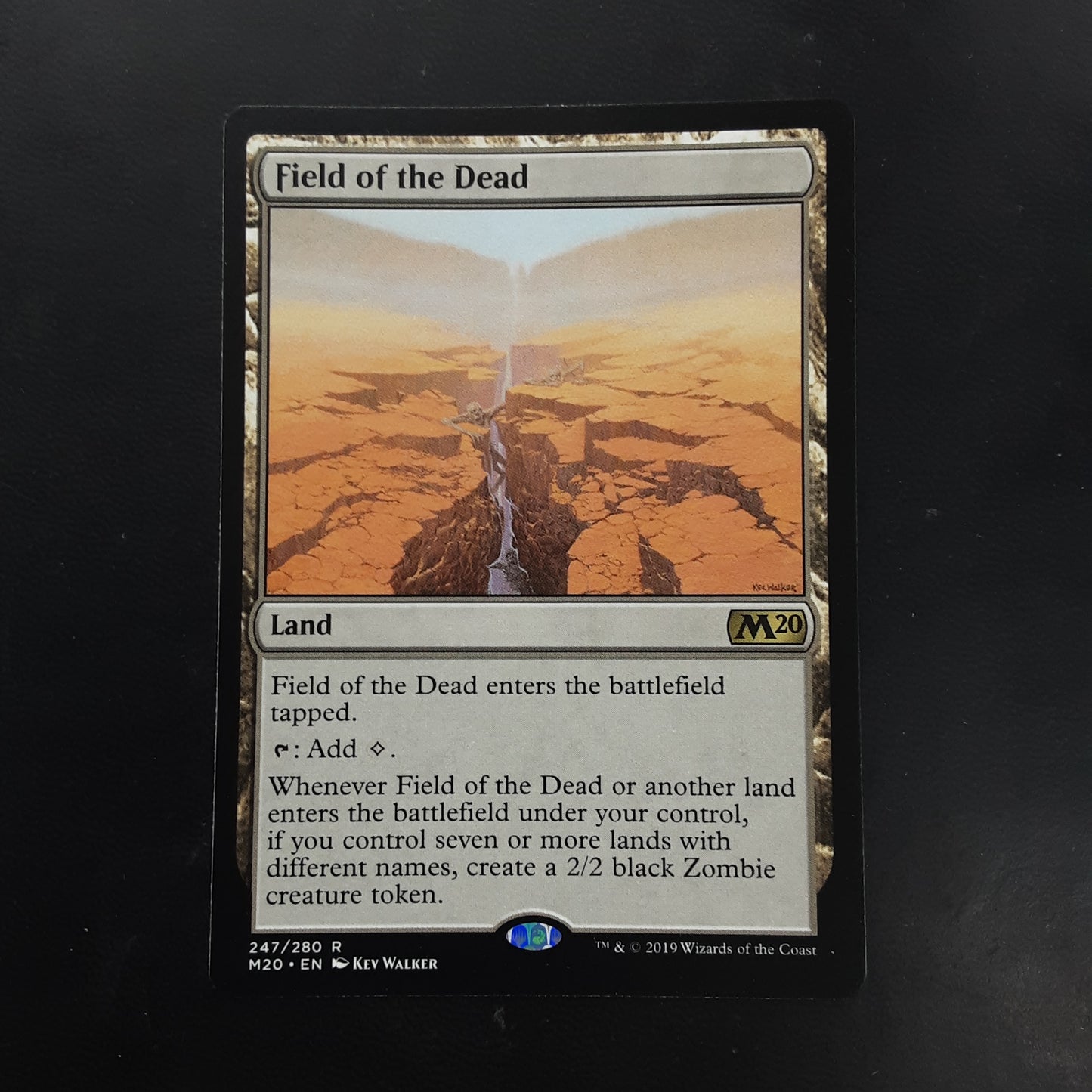 Field of the Dead
