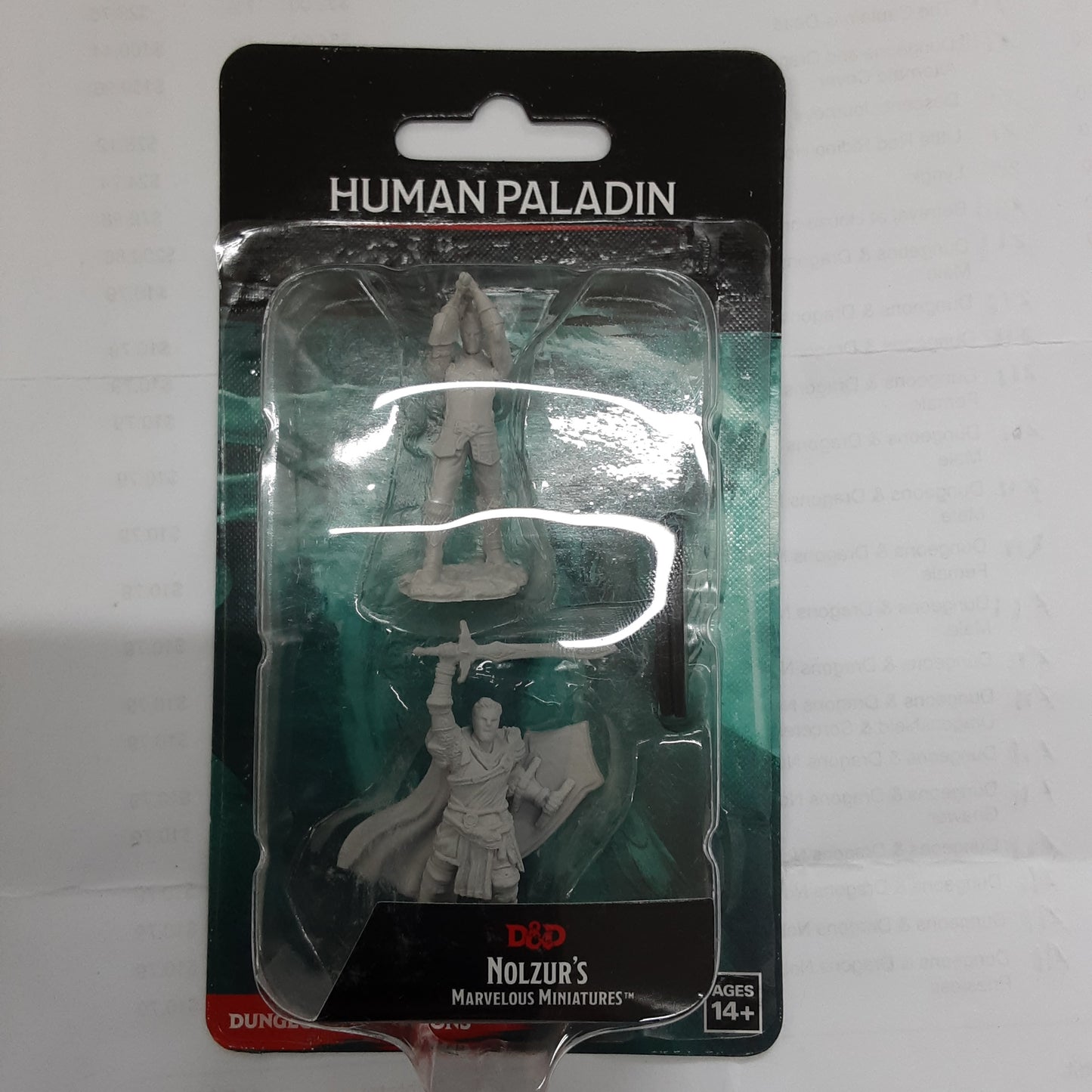 Human Paladin Male (UNPAINTED)