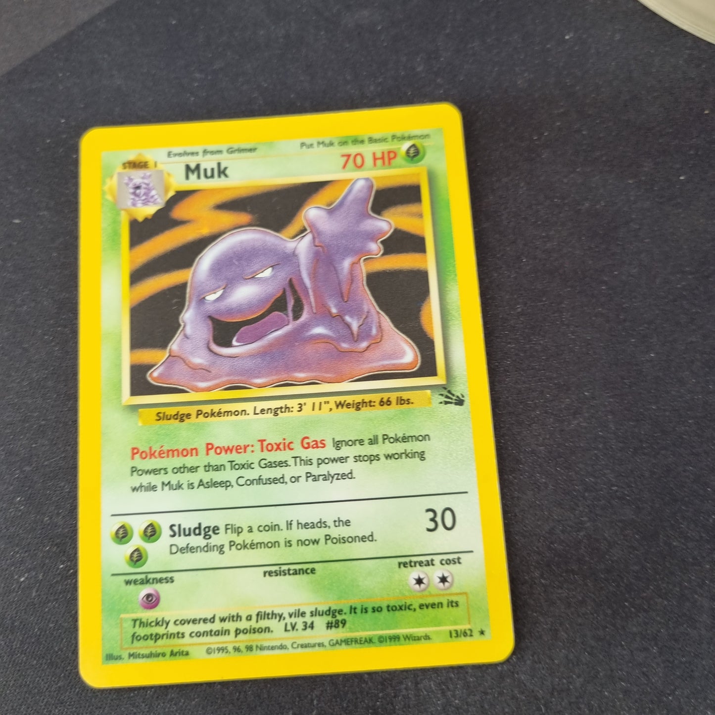 Muk - Fossil