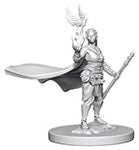 Human Druid Female