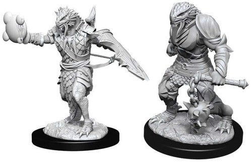 D&D Nolzur's Marvelous Dragonborn Paladin