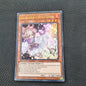 Ash Blossom & Joyous Spring