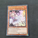 Ash Blossom & Joyous Spring