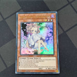 Ash Blossom & Joyous Spring