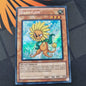 Dandylion