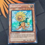 Dandylion