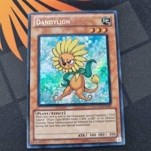 Dandylion