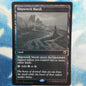Shipwreck Marsh (Foil)