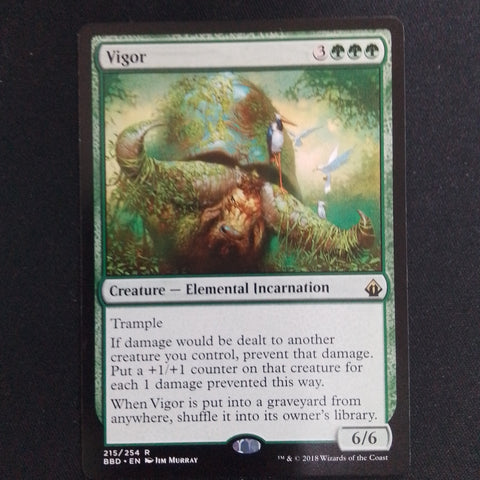 Vigor (BBD)