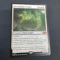 Moonshaker Cavalry (WOE)