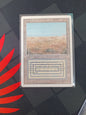 Scrubland - Revised