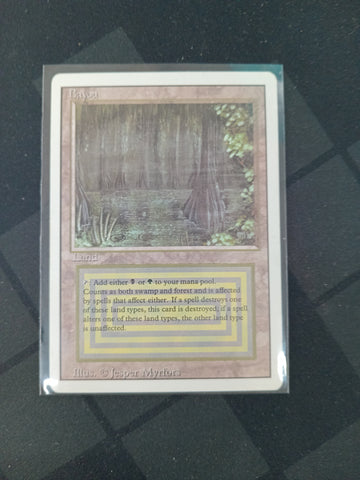 Bayou - Revised