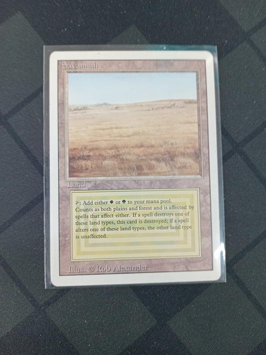 Savannah - Revised