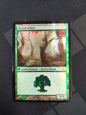 Dryad Arbor (From the Vault: Realms) (foil)