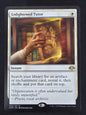 Enlightened Tutor (DMR)