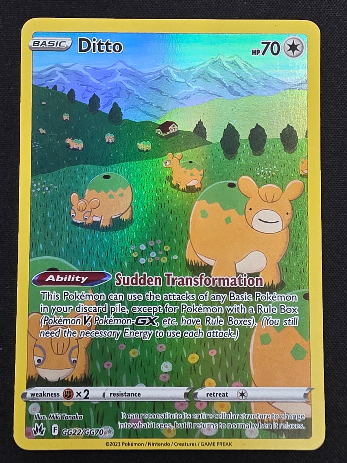 Ditto (GG22/GG70)