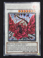 Black Rose Dragon (CT05-EN003, Secret Rare, Limited Edition)