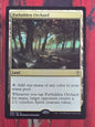 Forbidden Orchard (C16)