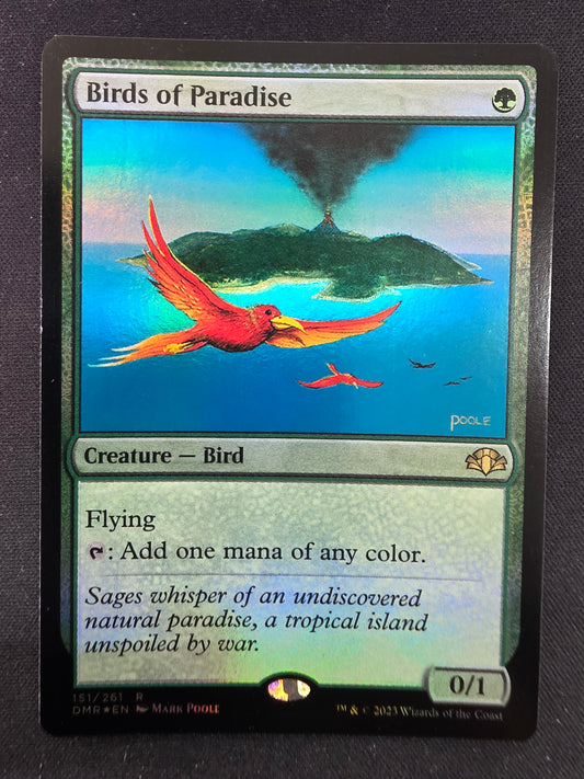 Birds of Paradise (DMR)