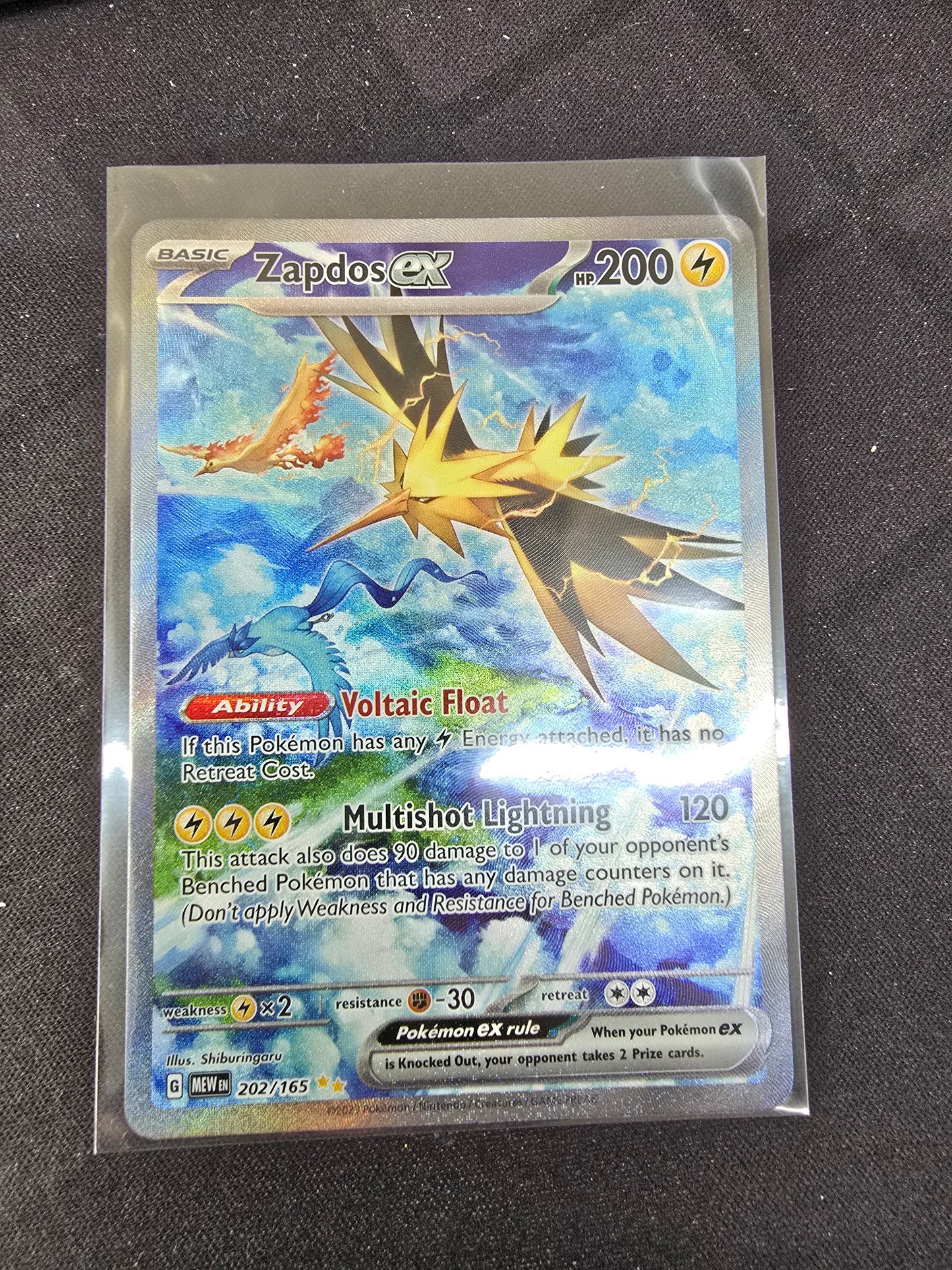 Zapdos ex - 202/165