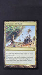 Forbidden Orchard (Champions of Kamigawa)