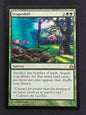Scapeshift (Morningtide)