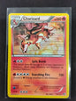 Charizard (19/113)