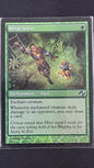Keen Sense (Foil)