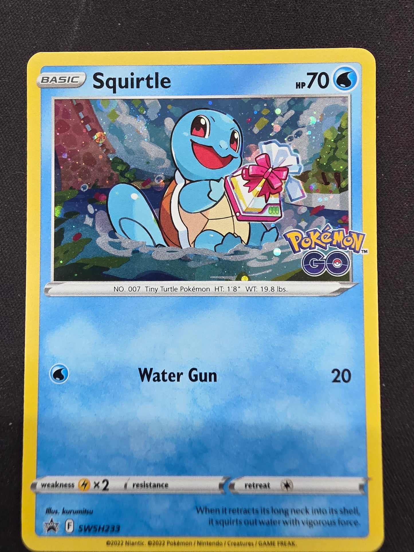 Squirtle swsh233