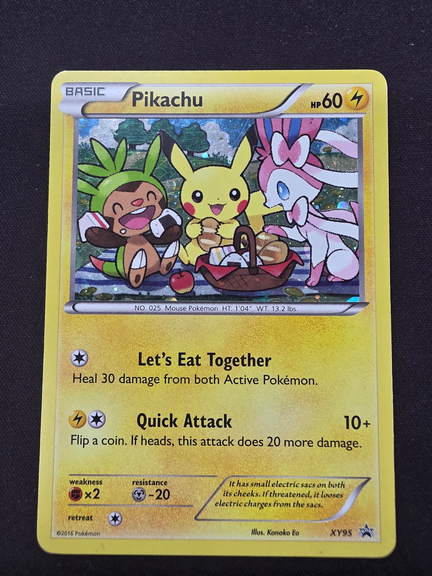 Pikachu xy95 DMG
