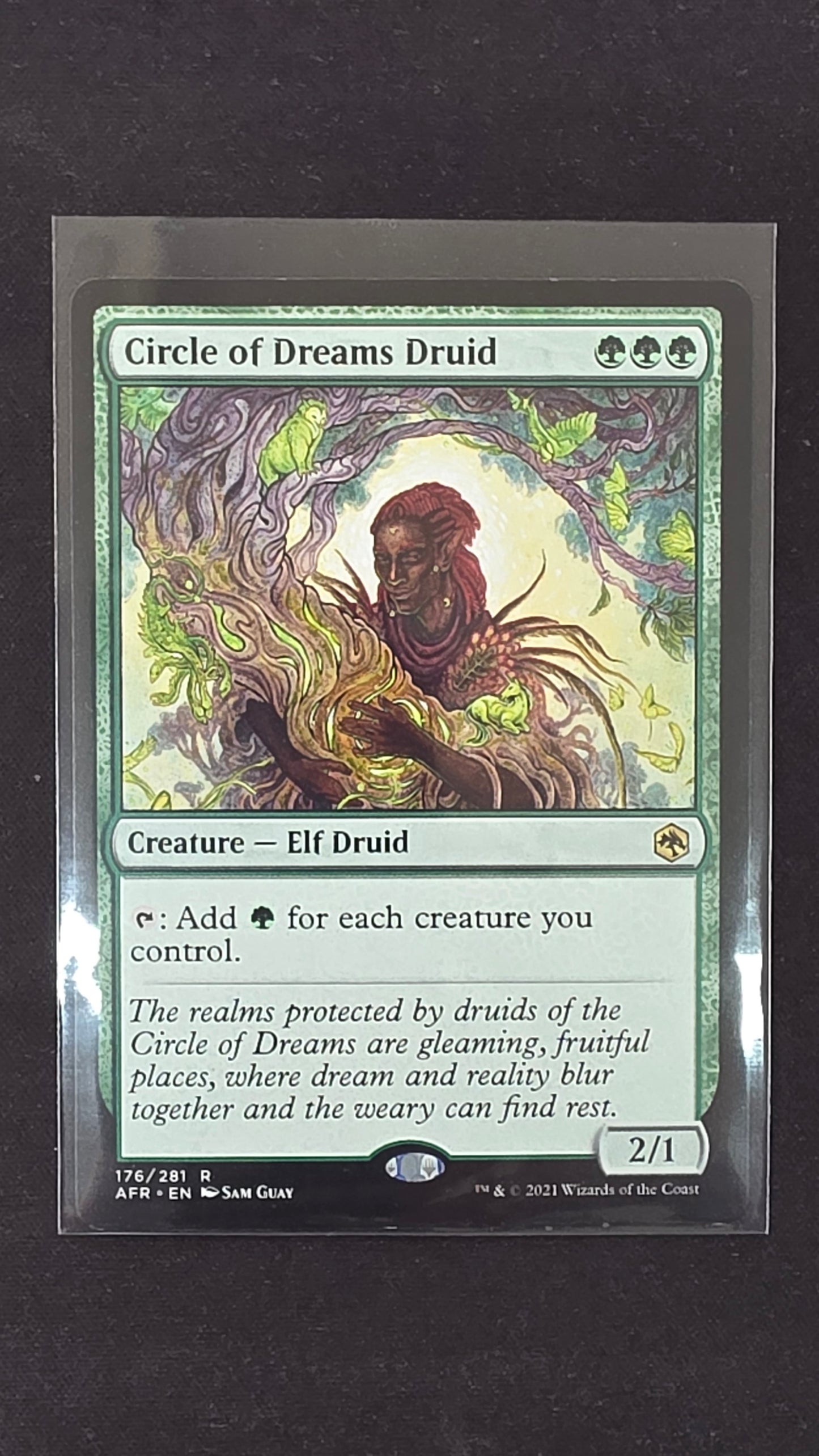 Circle of Dreams Druid (AFR)
