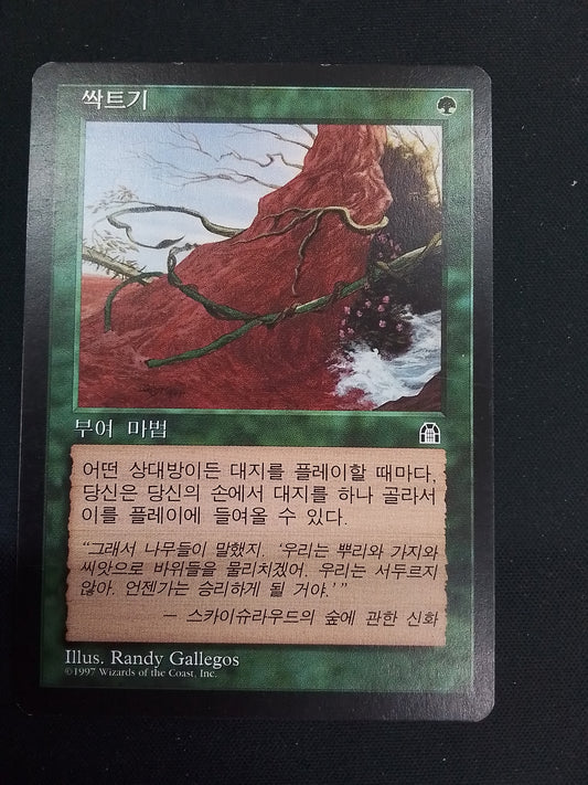 Burgeoning - Stronghold korean