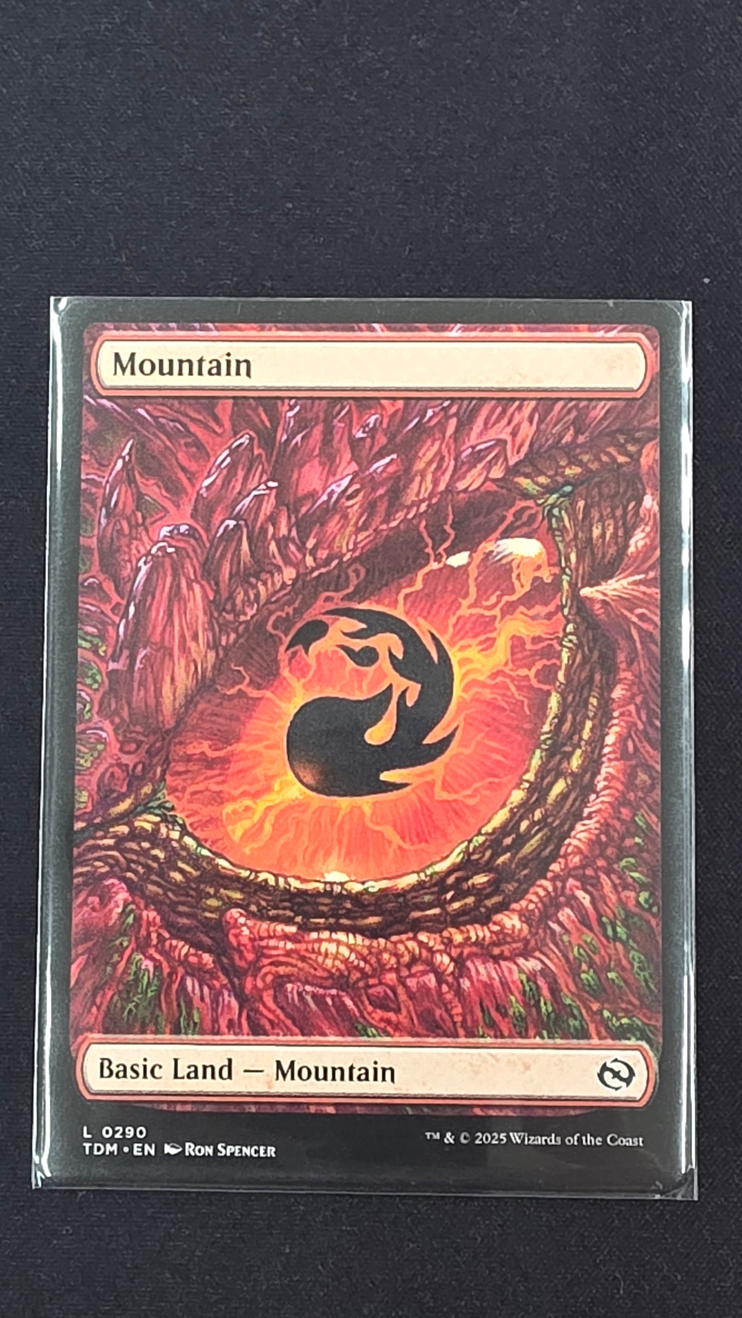 Mountain 0290 (TDM)